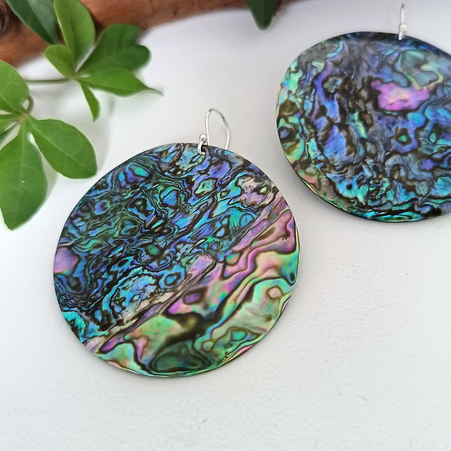 Natural Abalone Disc Earrings Sterling Silver