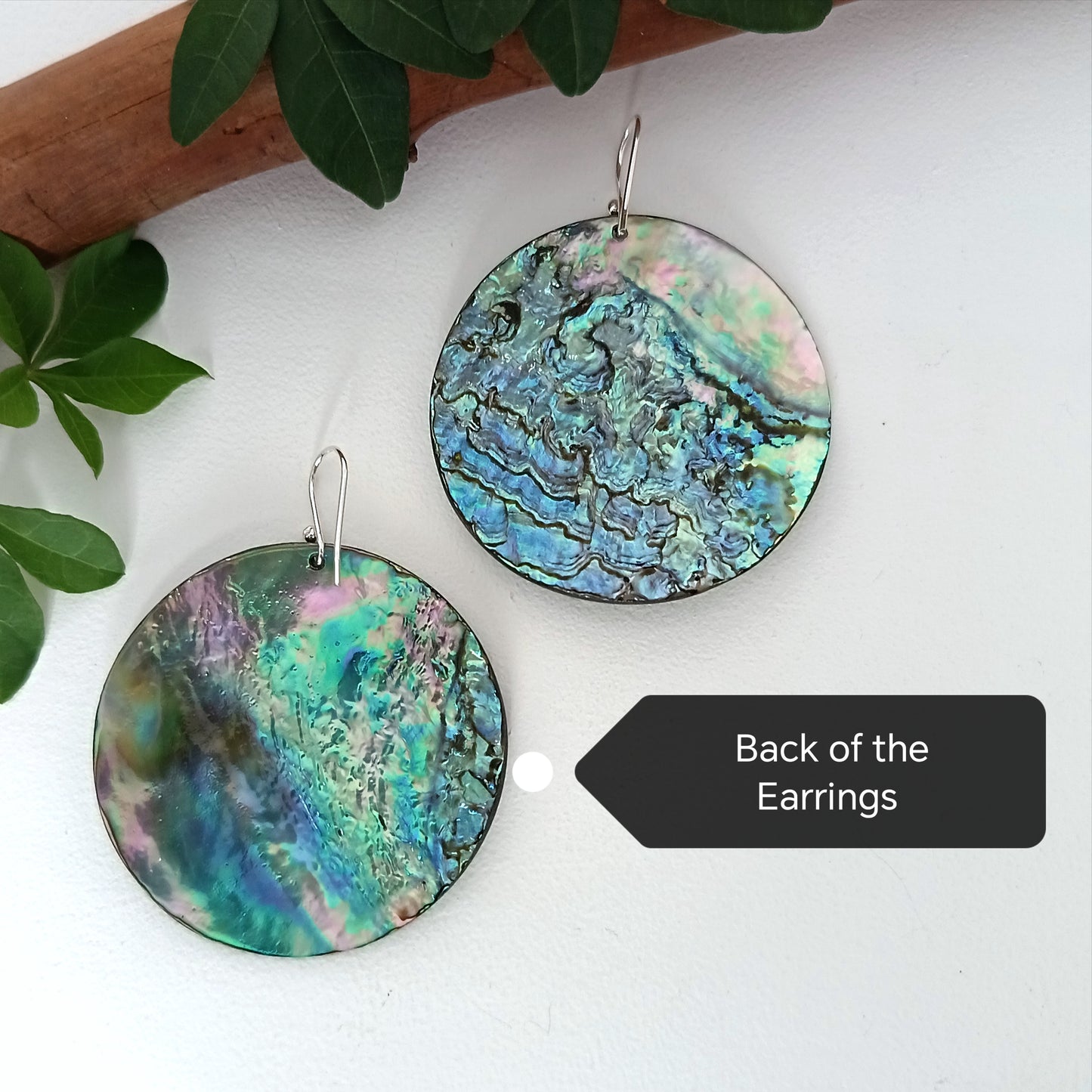 Natural Abalone Disc Earrings Sterling Silver