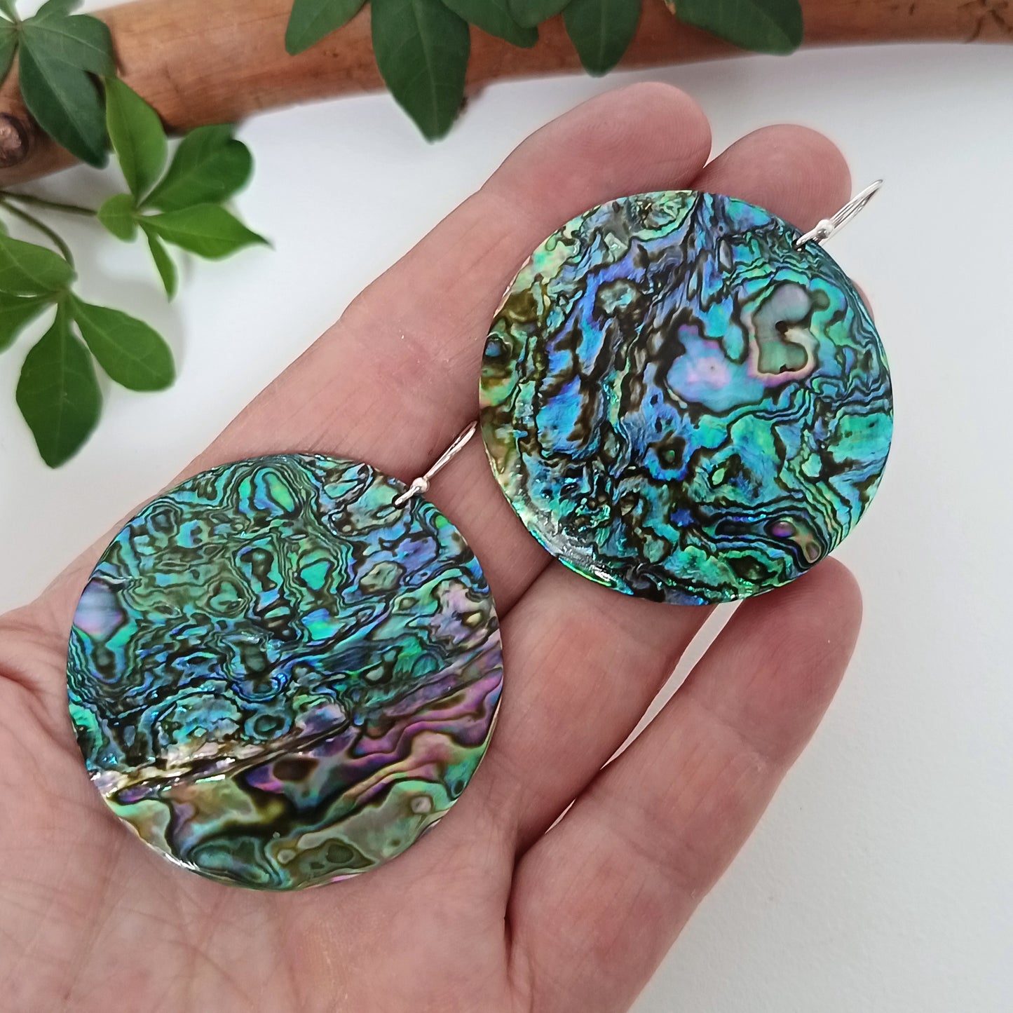 Natural Abalone Disc Earrings Sterling Silver